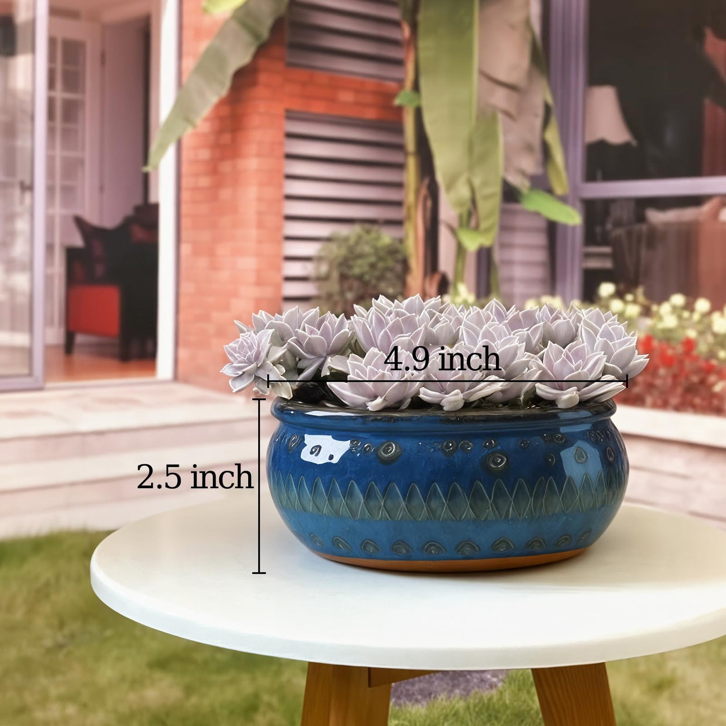 OXART Succulent Pots, 5 Pack Small Succulent Planters, Cute Plant Pots with Drainage Holes, Ceramic Flower Planters for Plants, Office, Desk, Windowsill, Home Decor, Plant Gifts for Mom