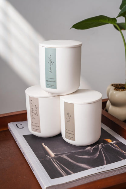Soularom Candles for Home Scented – 10oz Hand Poured Aromatherapy Eucalyptus Candle Soy Wax Candles in Elegant Ceramic Jar – Crackling Wooden Wick Decorative Candle with 60 Hours Burn Time