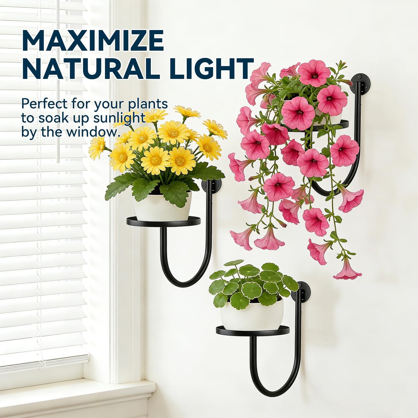 XNGZY Wall Planters for Indoor Plants, 3 Pack Wall Mounted Plant Holder, Metal Plant Floating Decor Shelves, Space Saving, for Bedroom, Living Room, Kitchen, Office, Bathroom Decor