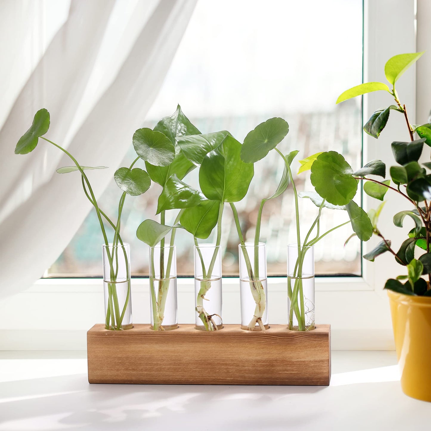 YIBOT Propagation Stations, Plant Terrarium with Wooden Stand, 5 Glass Test Tubes Vases, Birthday Gardening Gifts for Women Mom Plant Lovers, Home Office Desk Decor