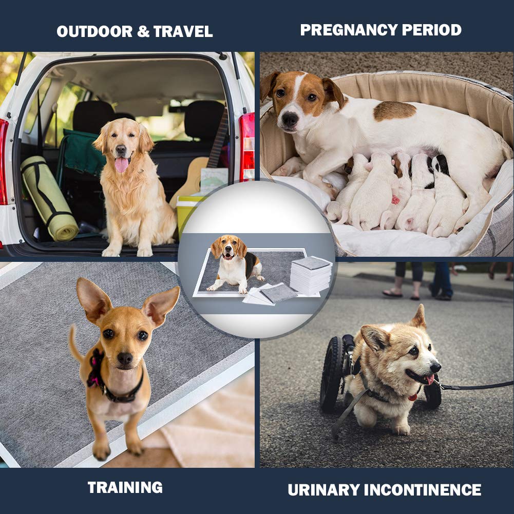 Dono Pet Training Pads Carbon Puppy Pee Wee Toilet Trainer Pads Super Absorbent Deodorizing Heavy Duty Dog Pads 25PCS