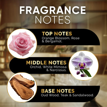 Luxury Hotel Diffuser Oil for Hotels and Homes - Aromatherapy Oils for use with an Essential Oil Diffuser at Home - Fragrance-Scent Diffuser Oil Blend (Winter Spruce) 4.05fl oz (120ml)