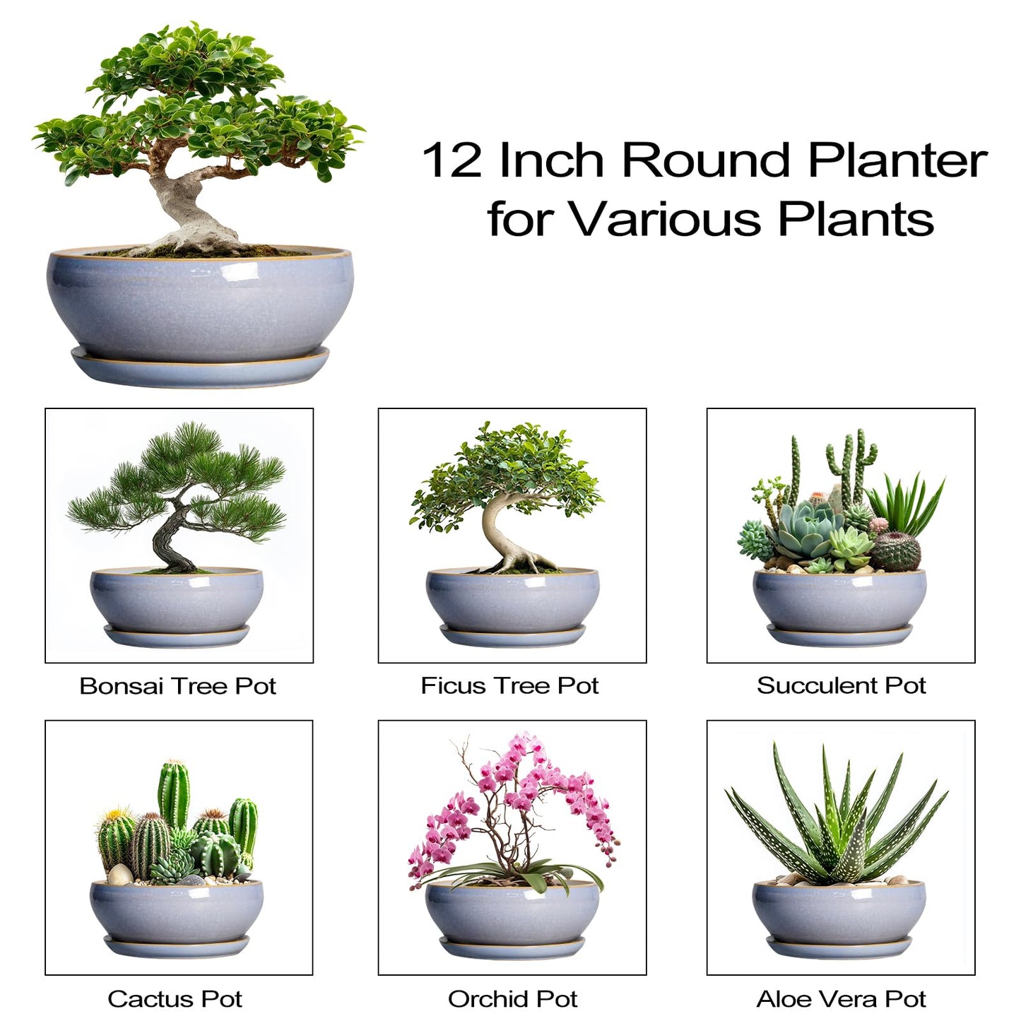 SQOWL 12 Inch Bonsai Pots - Shallow Ceramic Planter for Indoor Plants Outdoor, Large Succulent Pots with Drainage Hole and Saucer, Round Planter Bowl, Porch Decor, Gifts for Plant Lover, Blue