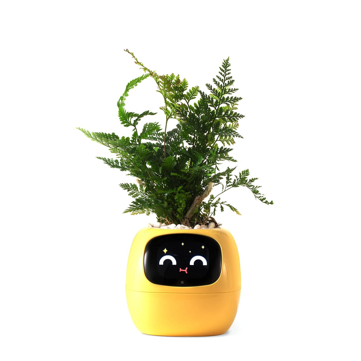 PLANTSIO Smart pet Planter Robot Guidance on Plant Care with Emojis, Adorable Plant Companion with Rich Gesture Interaction, Neat Desk Setup Gift (Yellow)