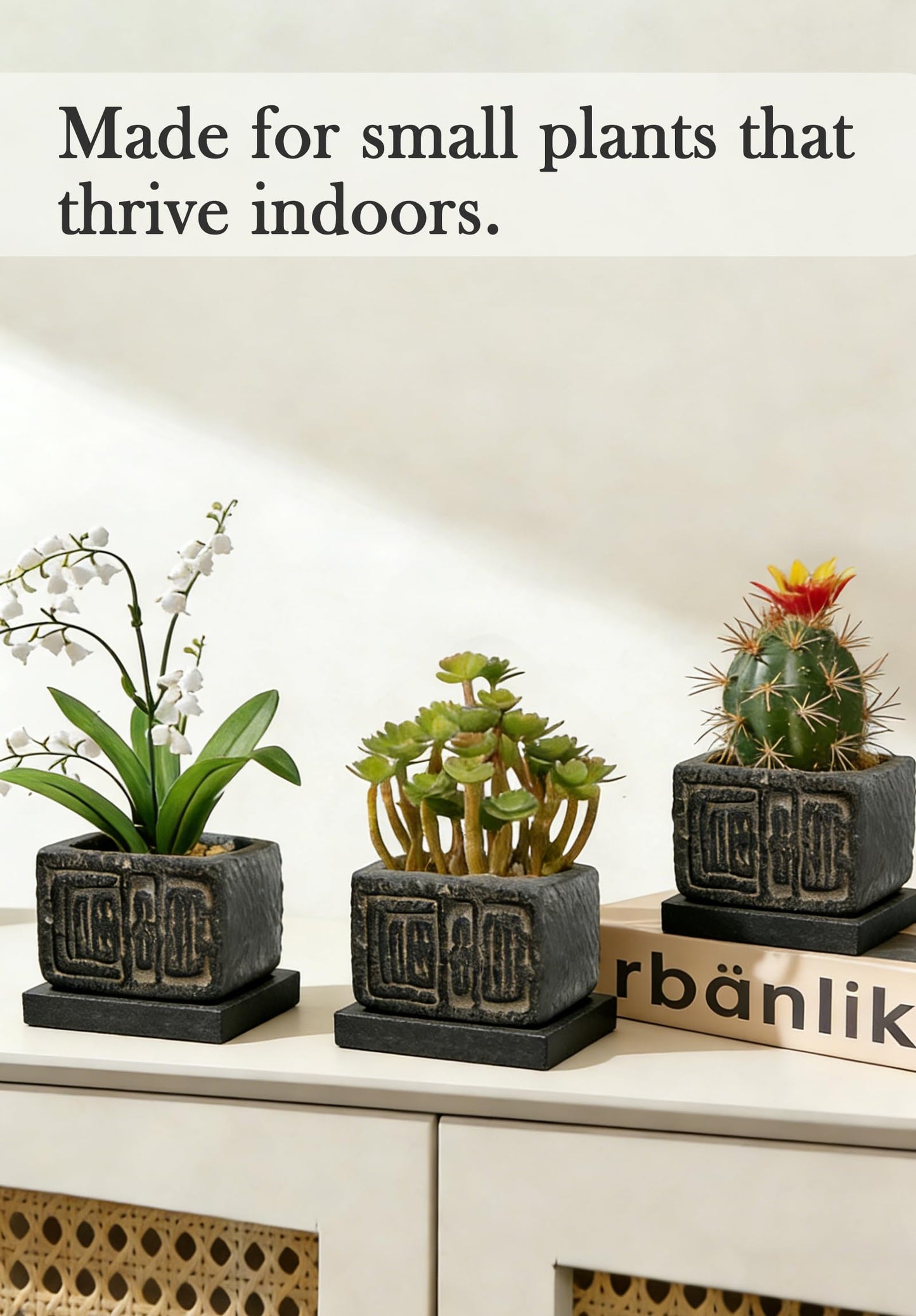 Txjyuyy Small Succulent Pots - Stone Square Plant Pot for Indoor Plants - Rustic Decorative Mini Planter for Desk, Cactus, Bonsai and Farmhouse Home Decor