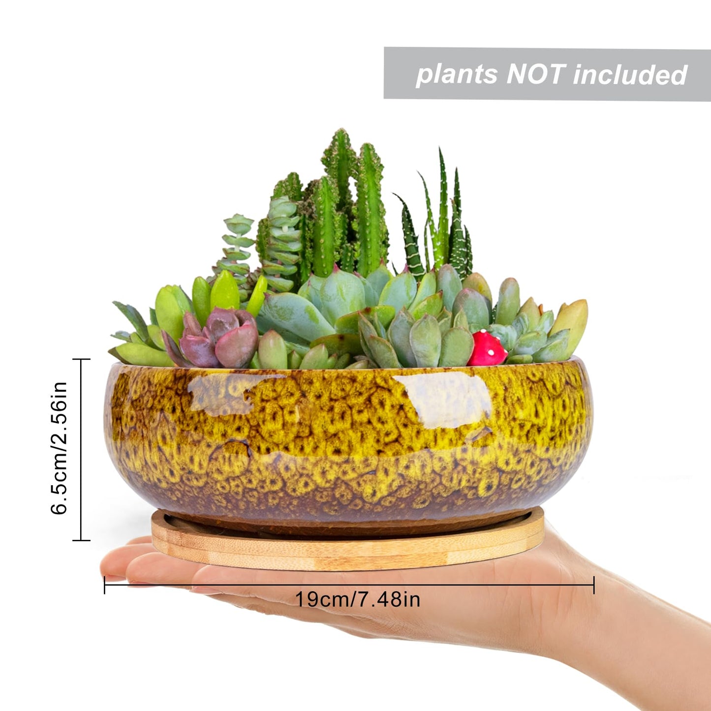 ARTKETTY Succulent Pots - 7.5 Inch Large Plant Pot with Bamboo Tray, Shallow Bonsai Pots with Drainage, Ceramic Planter for Indoor Plants, Cactus, Home Office Desk Decor