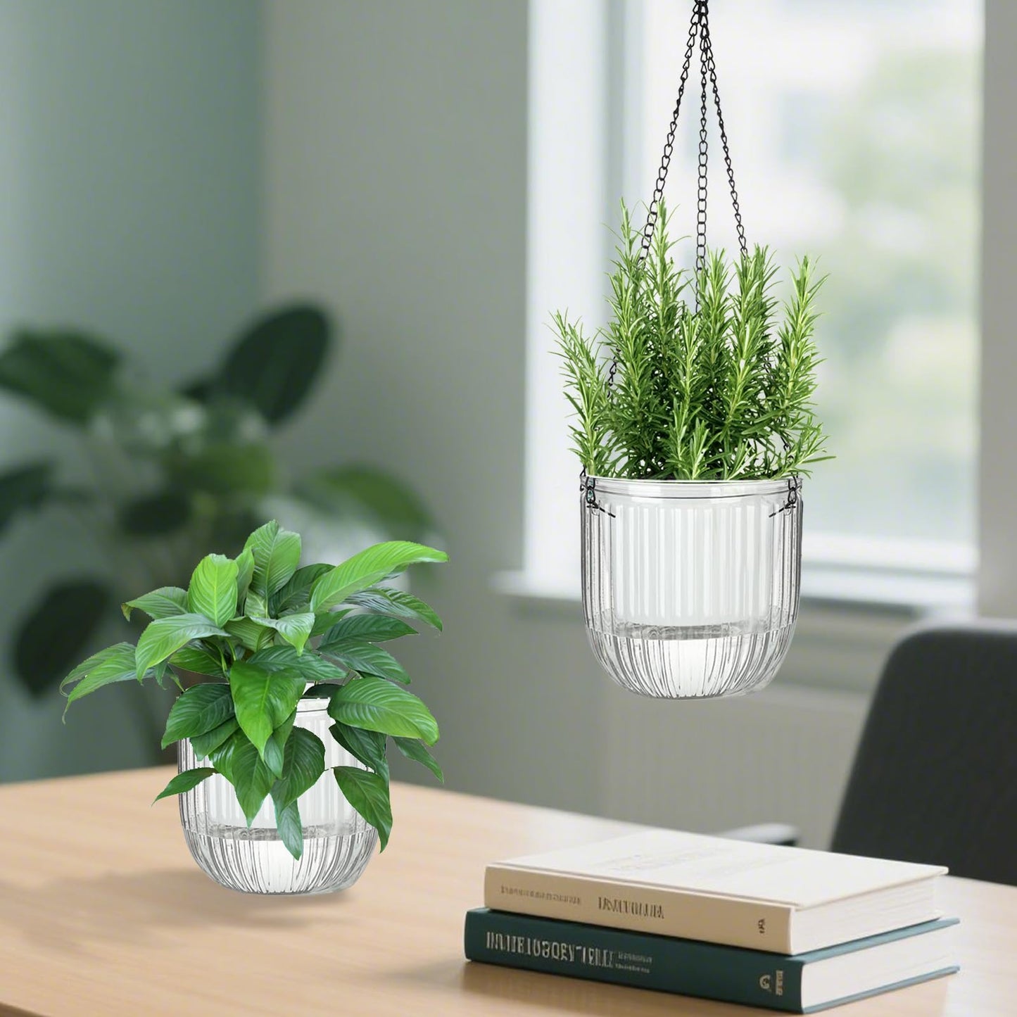JxyHauteresce Self-Watering Hanging Planter for Indoor Plants - Easy Care, Long Lasting - Perfect for Herbs, Succulents, and More (White Transparent)