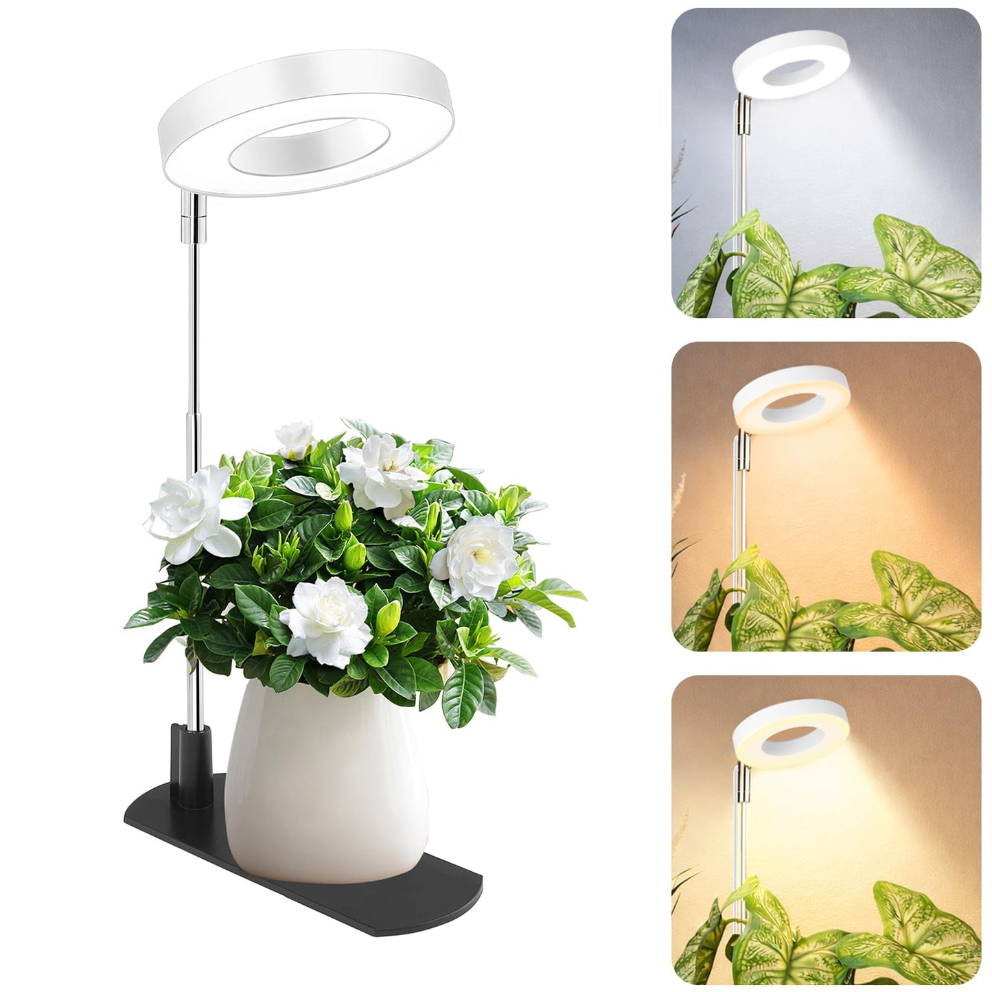 LBW Grow Light for Indoor Plants, Full Spectrum Plant Light with Base, Height Adjustable Plant Growing Lamp with Auto On/Off Timer 6/8/12/16H, 3 Colors,5 Dimmable Brightness, for Small Plants, White