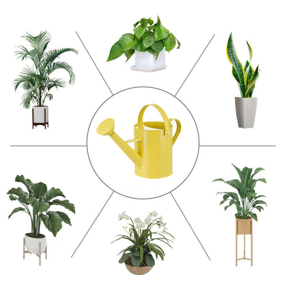 Topadorn Watering Can Metal Watering Pot with Handle and Rosehead Modern Style, 11.4”W x 4.72”D x 8.66”H, 55 Oz.,Yellow