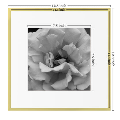 eletecpro Aluminum Gallery Wall Frame Set of 6, 12 x 12 Metal Photo Frames Display 8x8 Photo with Mat or 12x12 without Mat, Picture Frame Collage Wall Decor, Gold