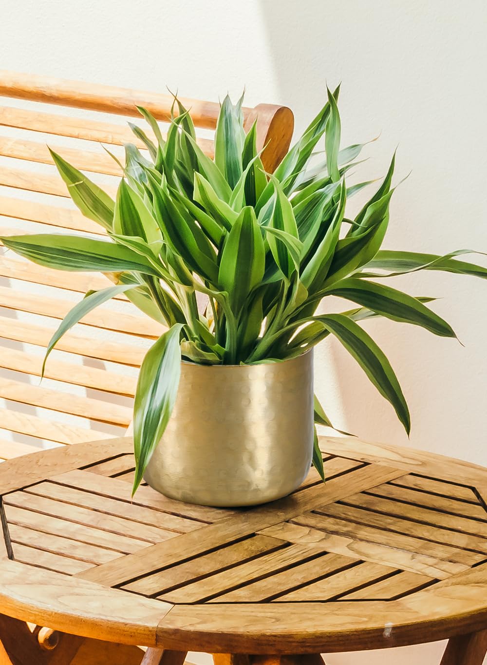 Serene Spaces Living Antique Brass Look Gold Hammered Pots, Indoor Planter, Decorative Accent for Potted Plants, Gold Flower Vase for Wedding or Event Centerpiece, Extra Small, 5" Diameter & 4" Tall