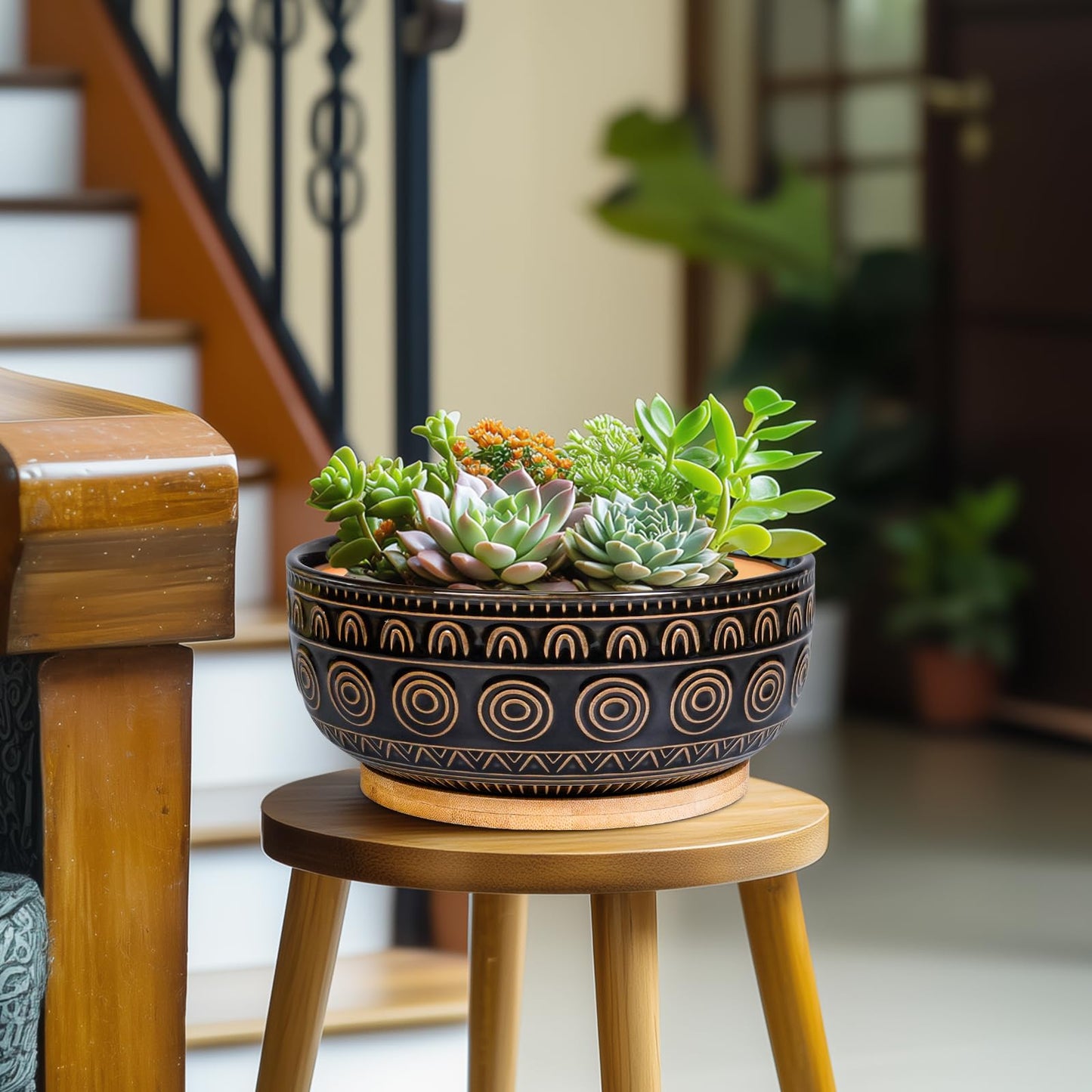 Eightpot Ceramic Bonsai Pots - 8 Inch Plant Pot for Succulent, Round Planter for Indoor Plants, Shallow Planters with Drainage Hole and Tray, Boho Bonsai Bowl, Living Room Decor, Black