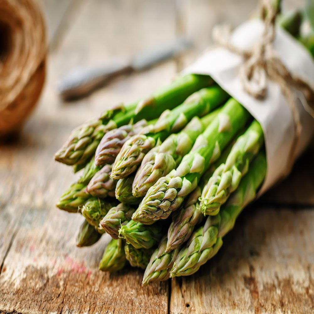 Mary Washington 25 Live Asparagus Bare Root Plants -2yr-Crowns from Hand Picked Nursery