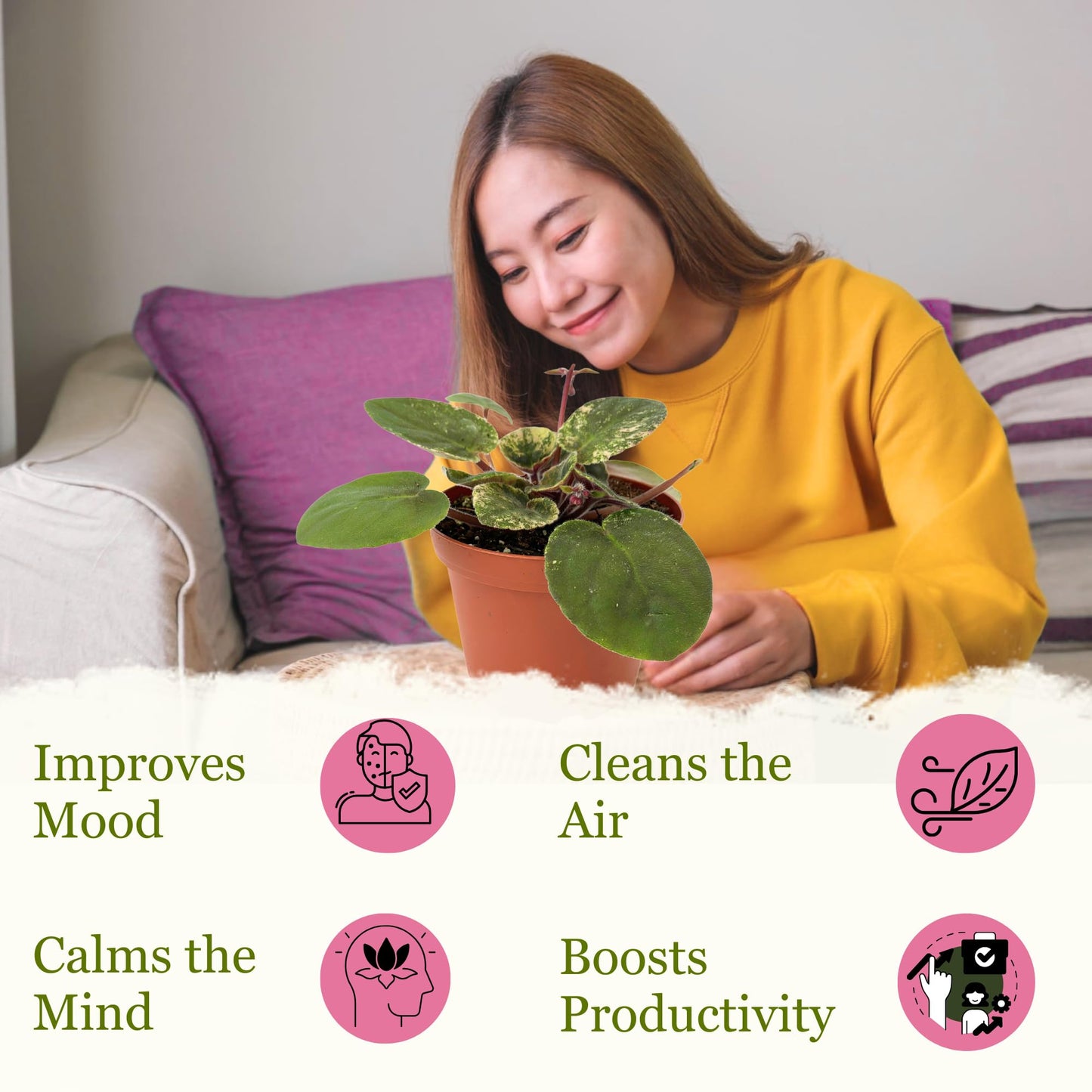 Live Plant Assorted African Violets 4" - Easy to Care and Grow Air Purifying Indoor House Plants - Rare African Violets Plant - Flowers for Home Office Room Decor & Giftable(Heat Pack Included)