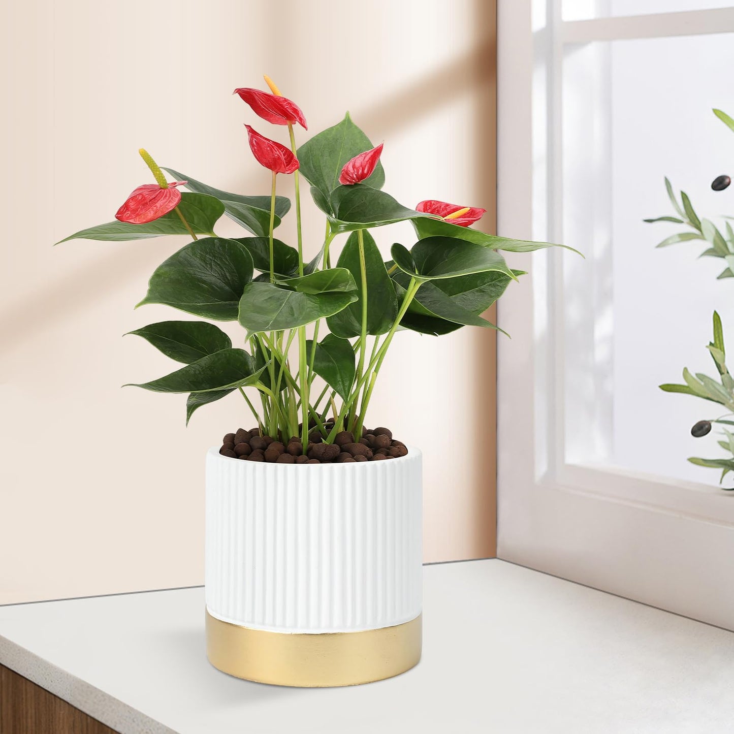 Ten-stone Set of 3 Cement Planter Pots with Drainage Hole,4 inch Plant Pots for Plants Indoor Houseplants,Succulent Pots Windowsil Planter (White&Gold)