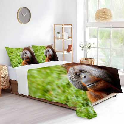 Gorilla Full Size Sheet Sets - Borneo Orangutan Bed Sheets Set with 1 Fitted Sheet,1 Flat Sheet and 2 Pillowcases for All Season Without Filler 4 Piece (Fitted Sheet, Flat Sheet, Pillow Case)