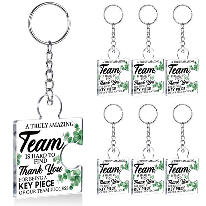 DRMNPKT Set of 6 Team Thank You Appreciation Gifts Bulk for Coworkers Employees Staff Teachers Colleagues Coach, Best Team Ever Gifts Inspirational Teamwork Acrylic Puzzle Piece Keychains, Multicolor