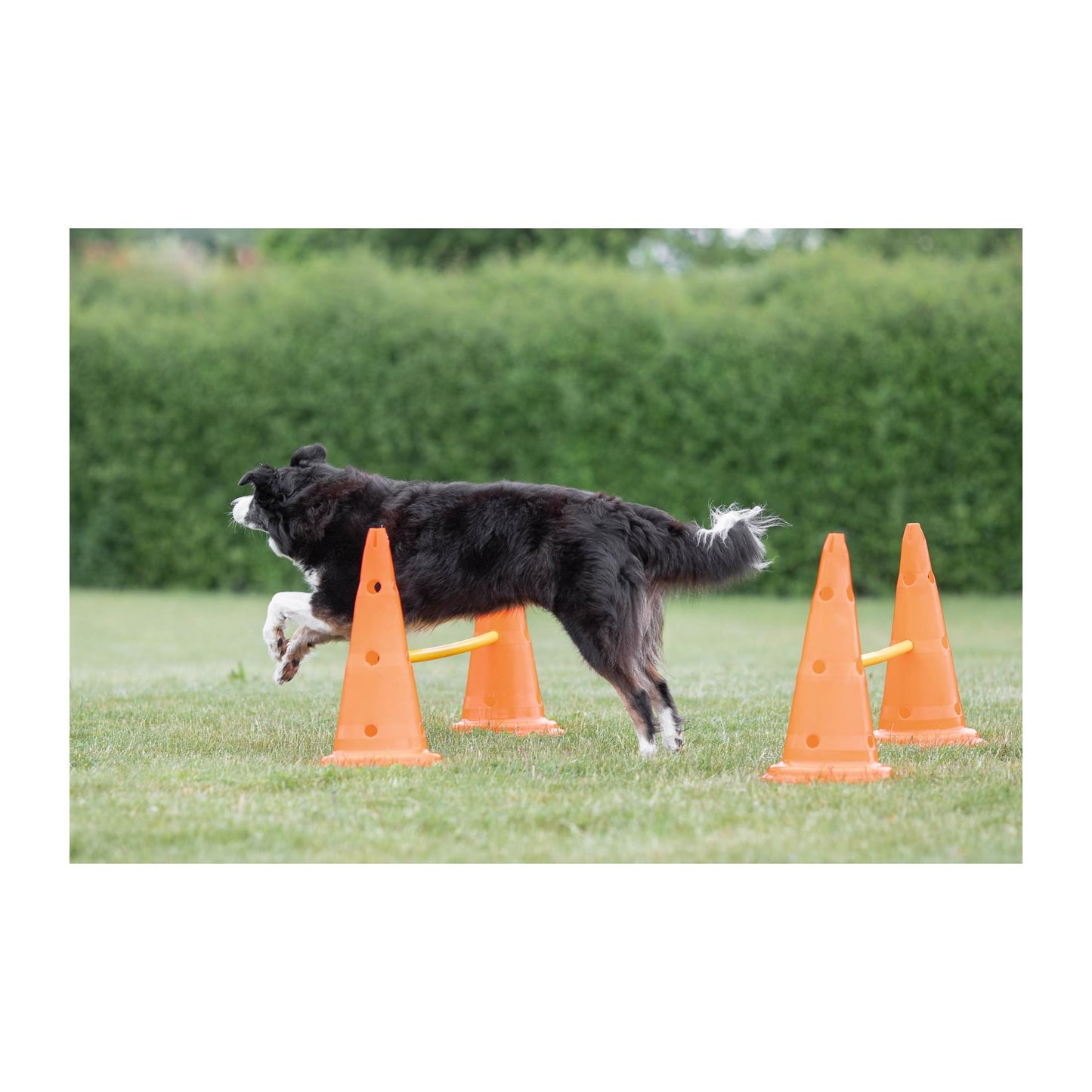 TRIXIE Pylon Obstacle Set – 6 pylons – 3 poles – variable height adjustment: 6 cm / 13.5 cm / 20 cm – orange/yellow – 32091