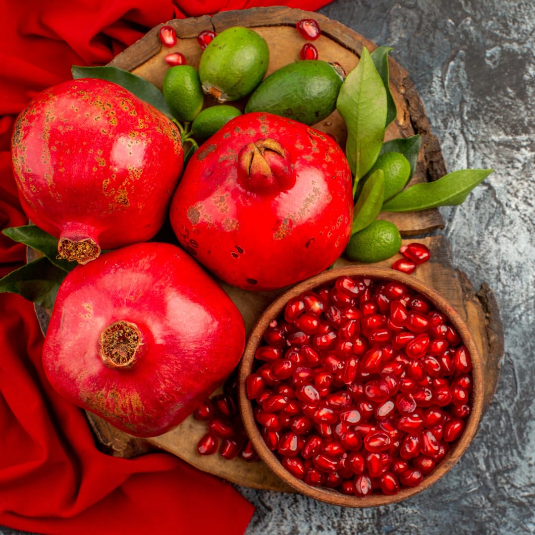 Pomegranate Tree Live Plant, 5 to 9 Inch Tall, Potted Pomegranate Plant, Pomegranate Fruit Tree, 4 Inch Pot Pomegranate Plants Live, Pomegranate Bush, Red Pomegranate Tree