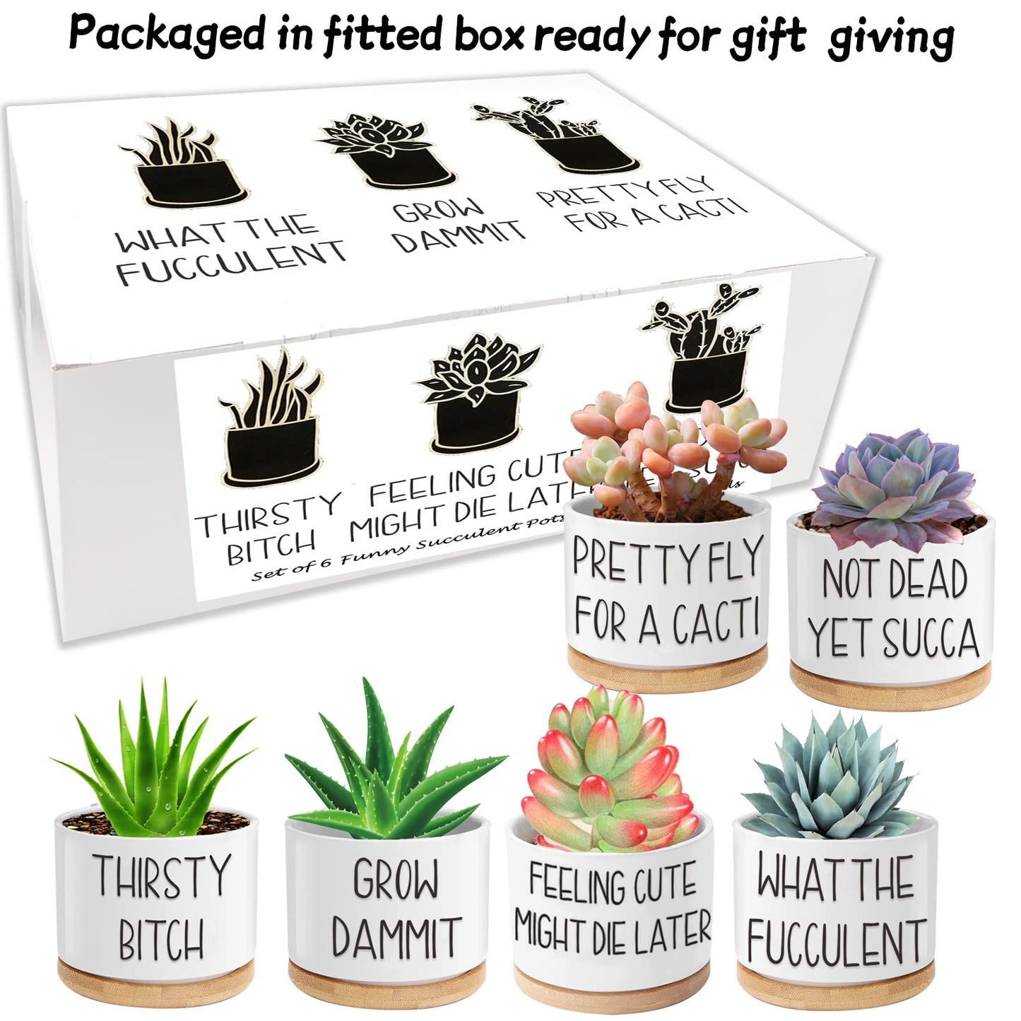 6pcs Funny Succulent Plant Pots, 3.15'' Ceramic Small Succulent Planters with Drainage Hole and Bamboo Tray, Cute Flower Pots for Indoor/Outdoor Plants, Birthday Gifts for Women - Plants Not Included