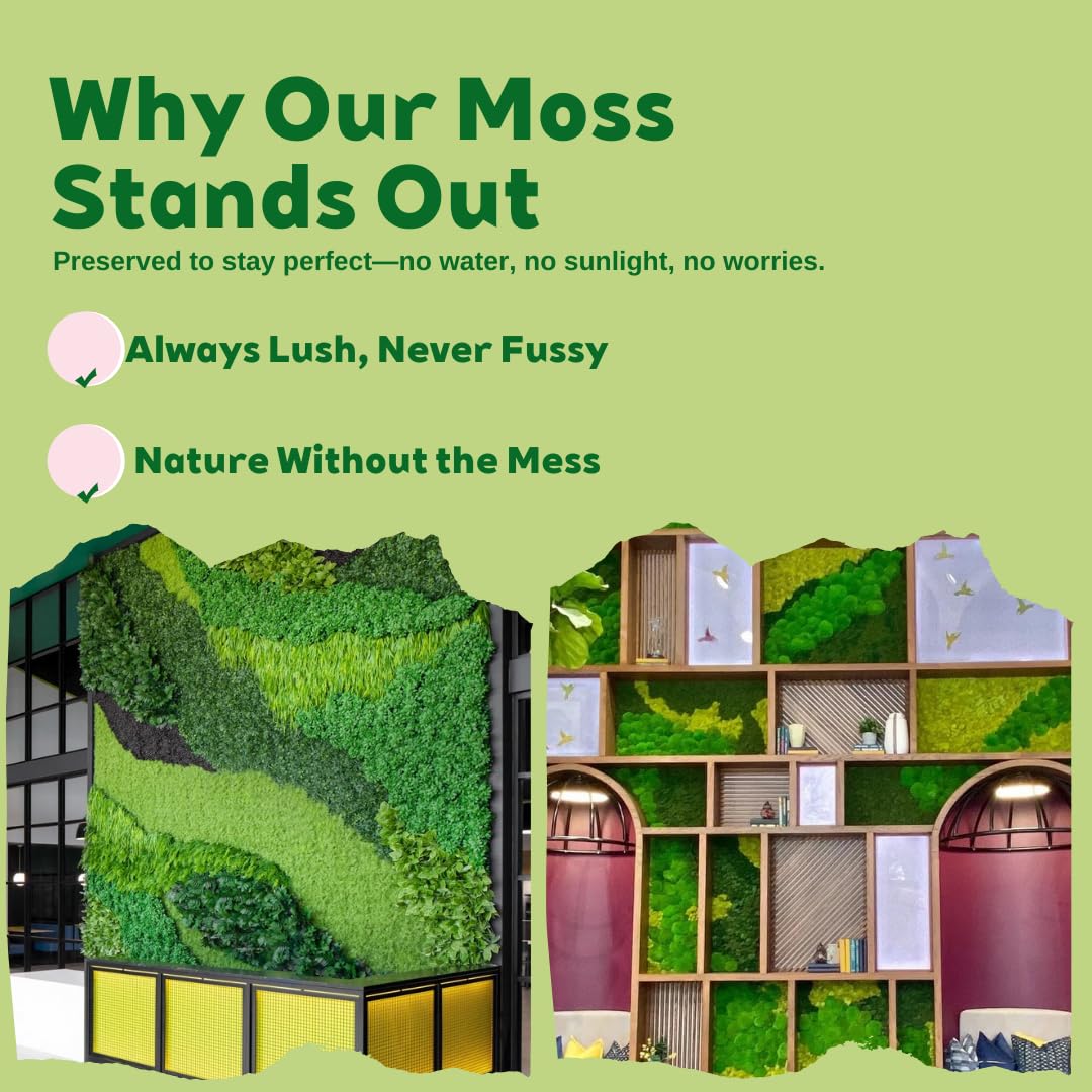 Cigarlemon Preserved Moss for DIY Crafts - 1.5 sq.ft Natural Dried Moss for Terrarium, Fairy Garden, Home Decor, Wall Art, Floral Arrangements - Flexible Real for Creative Projects, Dark Green