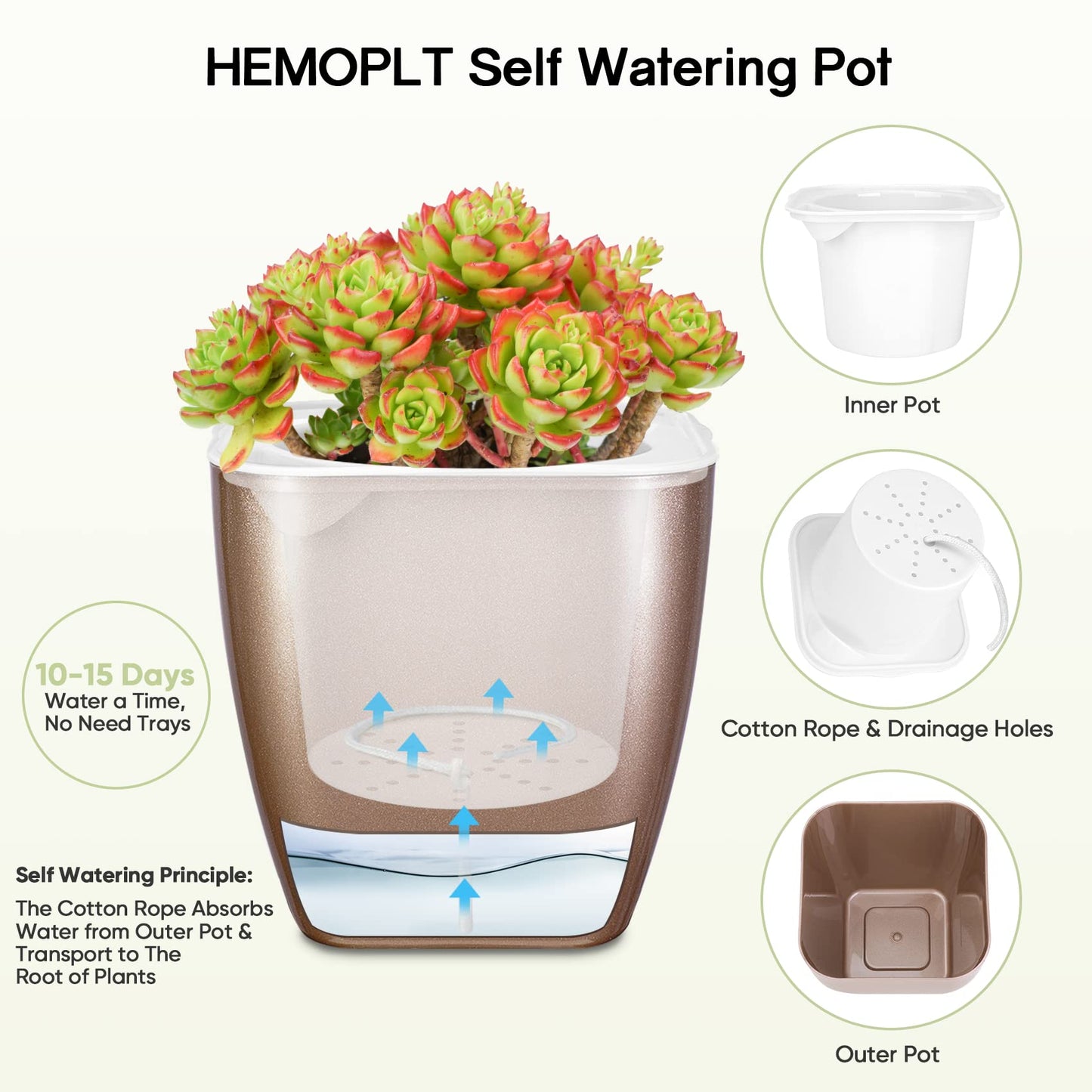 HEMOPLT Self Watering Plant Pots for Indoor Plants - Planters - Pack of 6 4" & 5" African Violet Pots - Orchid Pots - Champagne Gold - Silver - Rose Gold
