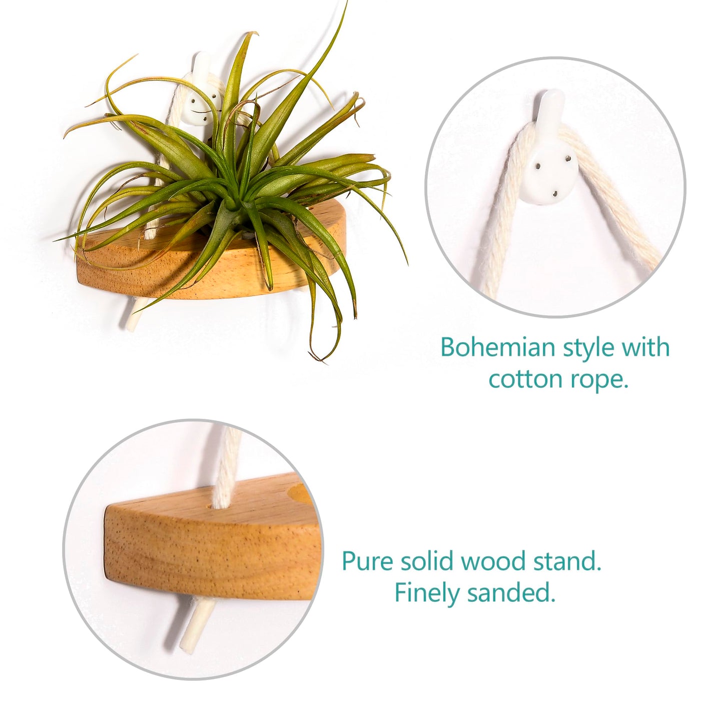 MITIME air plant holder, small air plant display stand. Wall mount to save space, wall decoration. (Plants not included) (Set of 6)