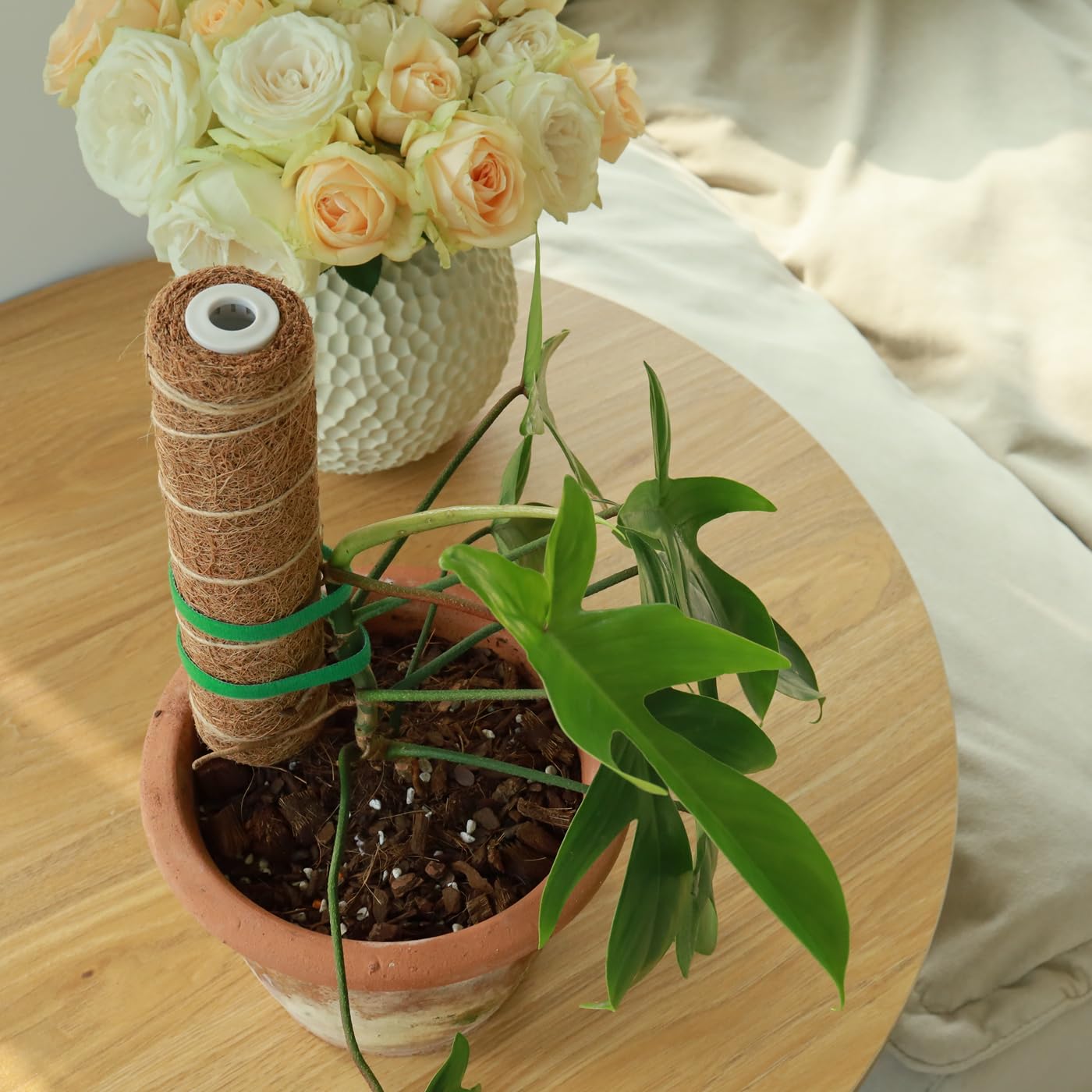 Moss Pole for Plants 4 Pack Natural Coco Coir Climbing Support Stakes with Plant Ties Indoor Monstera Plant Training Extension Poles 7.9inch Each Total 31.6 inch