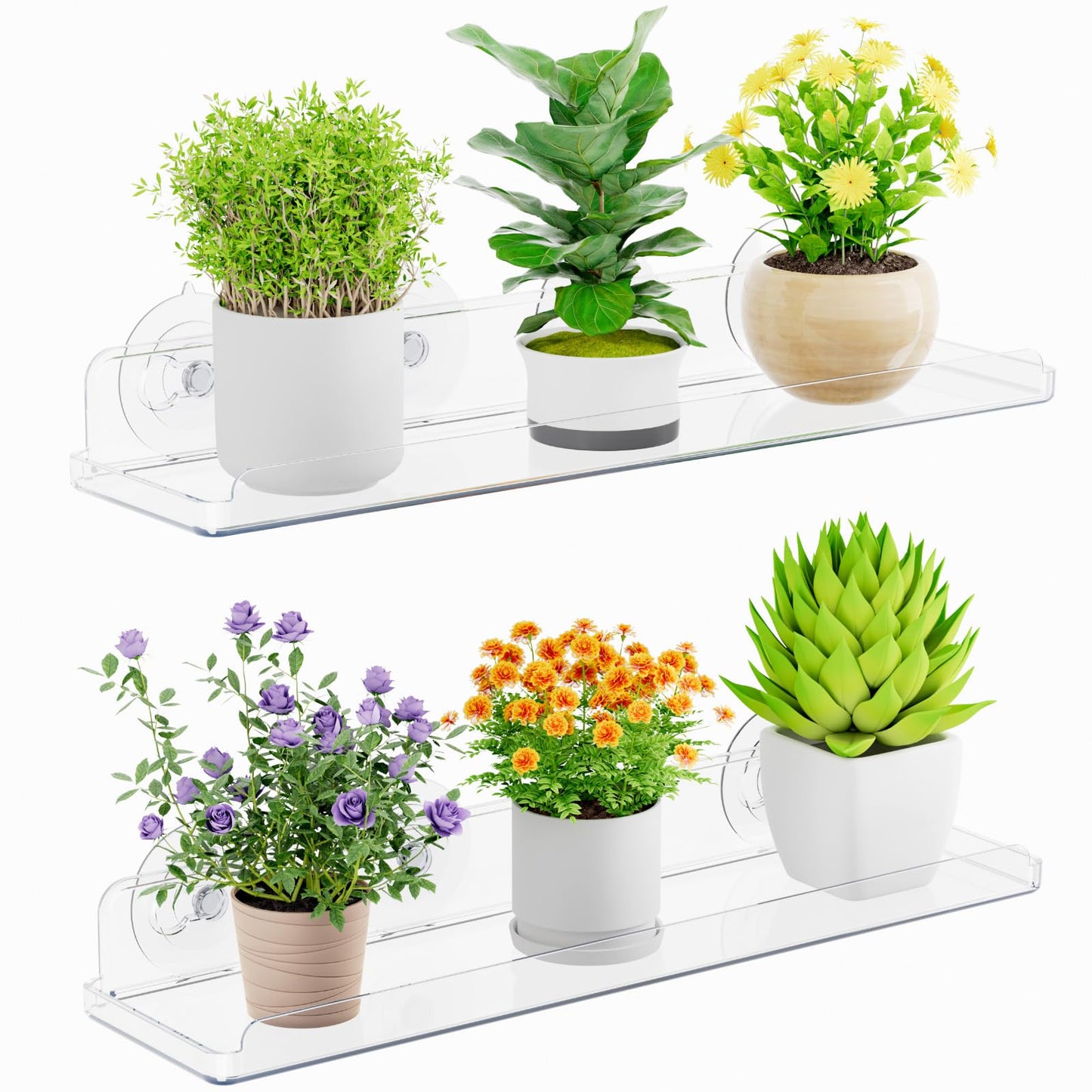 Lifewit Window Plant Floating Shelves 14.6x3.6, 2 Pack Acrylic Suction Cup Shelf, Window Sill Extender for Indoor Succulent Plants, Micro Greens, Seed Starter Pots, Herb Planters 37 x 9 cm/14.6x3.6
