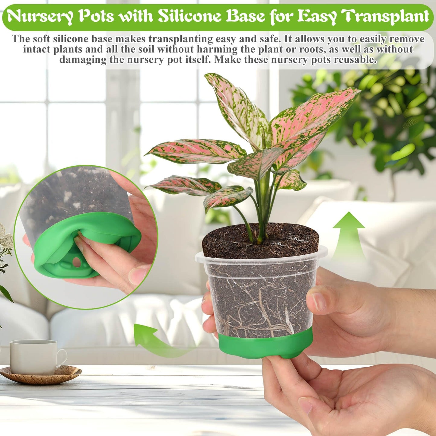 Caffox 55PCS Reusable Seed Starter Kit Includes 30 Packs 3.5" Clear Nursery Pots with Silicone Base, Repotting Mat, Gardening Gloves, Plant Labels and Seedling Tools for Easy Transplant
