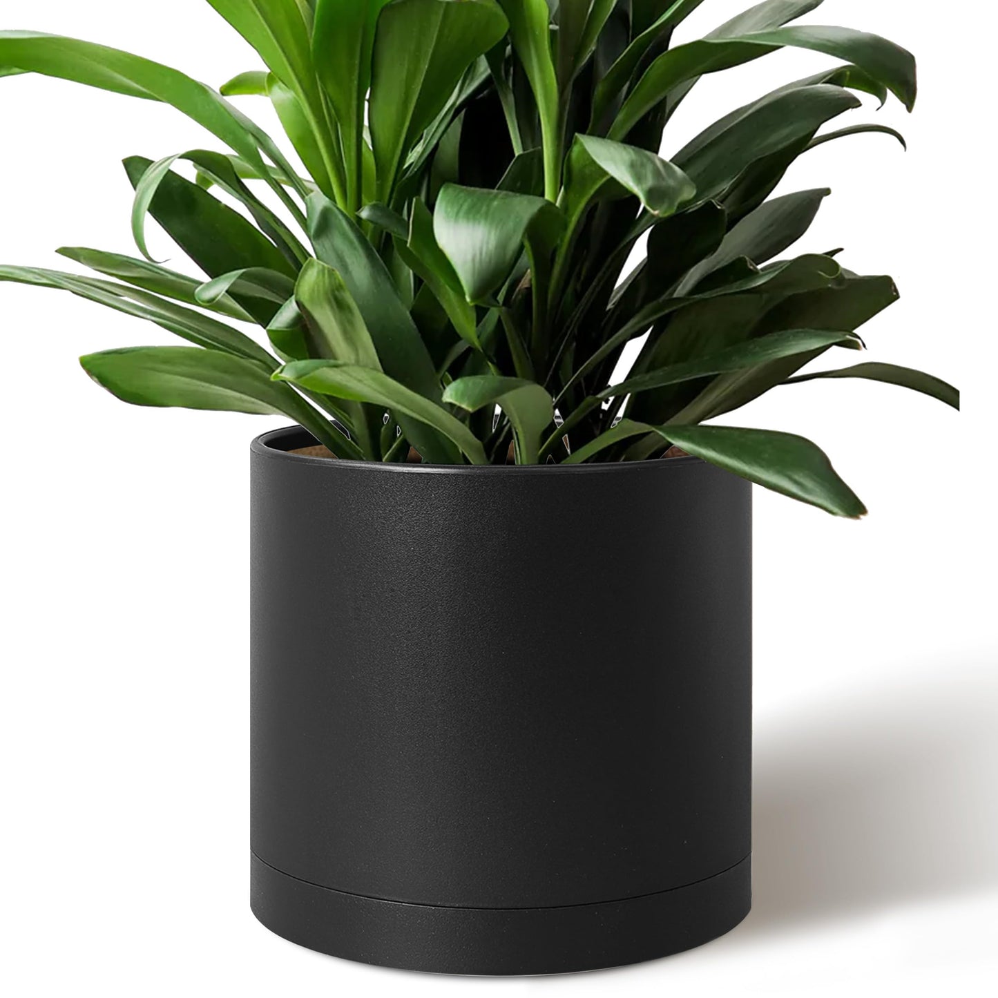 Giraffe Creation 12-Inch Round Cylinder Plant Pot, Modern Indoor/Outdoor Planter with Drainage Hole, Saucer & Water Reservoir, Black