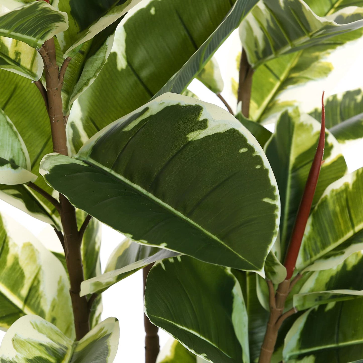FLOWORLD Artificial Rubber Tree Plant 6ft Tall Faux Ficus Tree Potted Fake Tropical Plants Decorative House Plants Large Floor Artificial Trees for Home Office Decor, Without The Pot