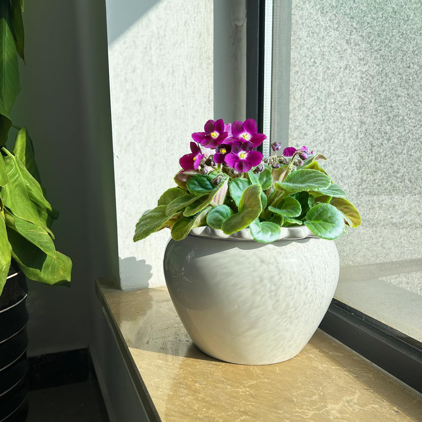 Lovely Ran African Violet Flower Pot Ceramic Self Watering Flower Pot 6.5 * 4.6 * 4 inch Simple Plant Self Watering Pot Indoor Flowers High Absorption Herbaceous Flower Pots Modern Decor Pots