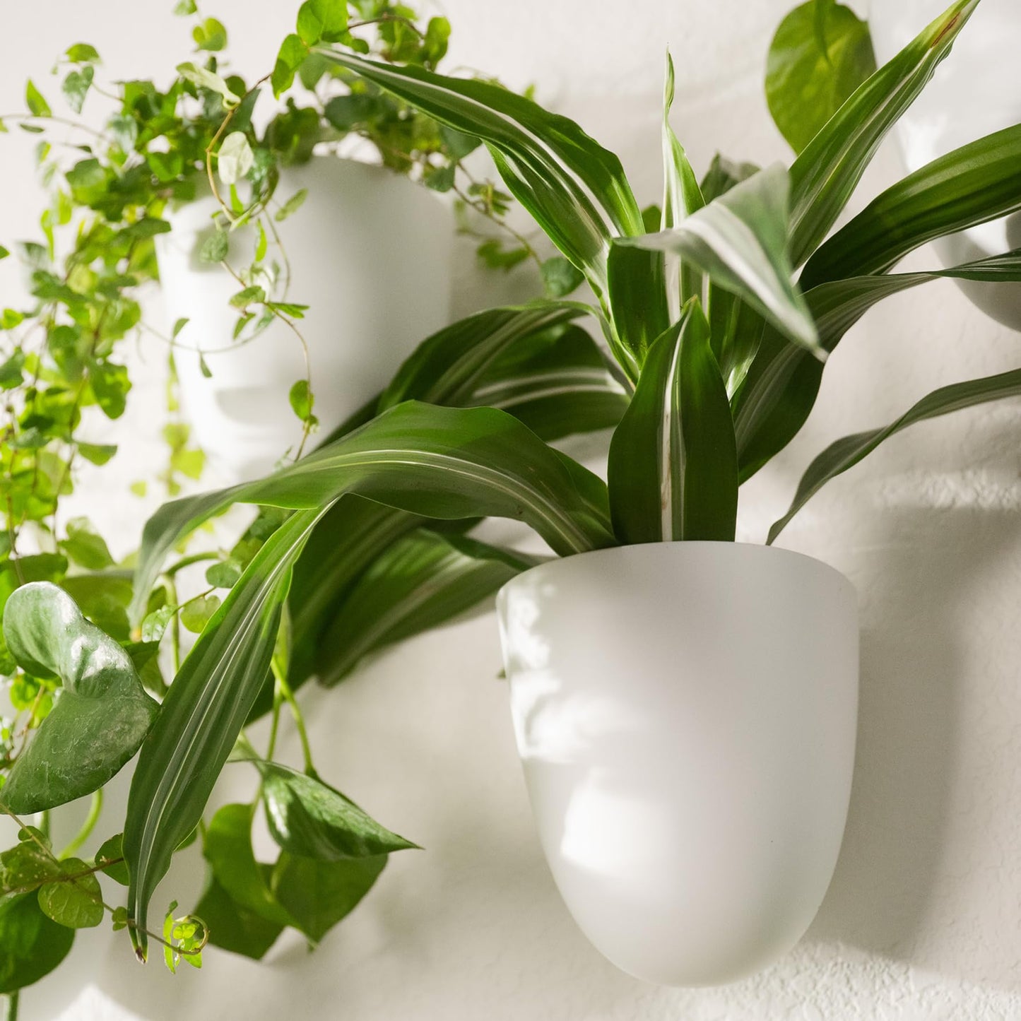PlantPod Classic - Self-Watering Wall Planters (6, White) - Easy to Water and Install - Lightweight - Design Your Own Vertical Garden - Wall Planters for Indoor Plants