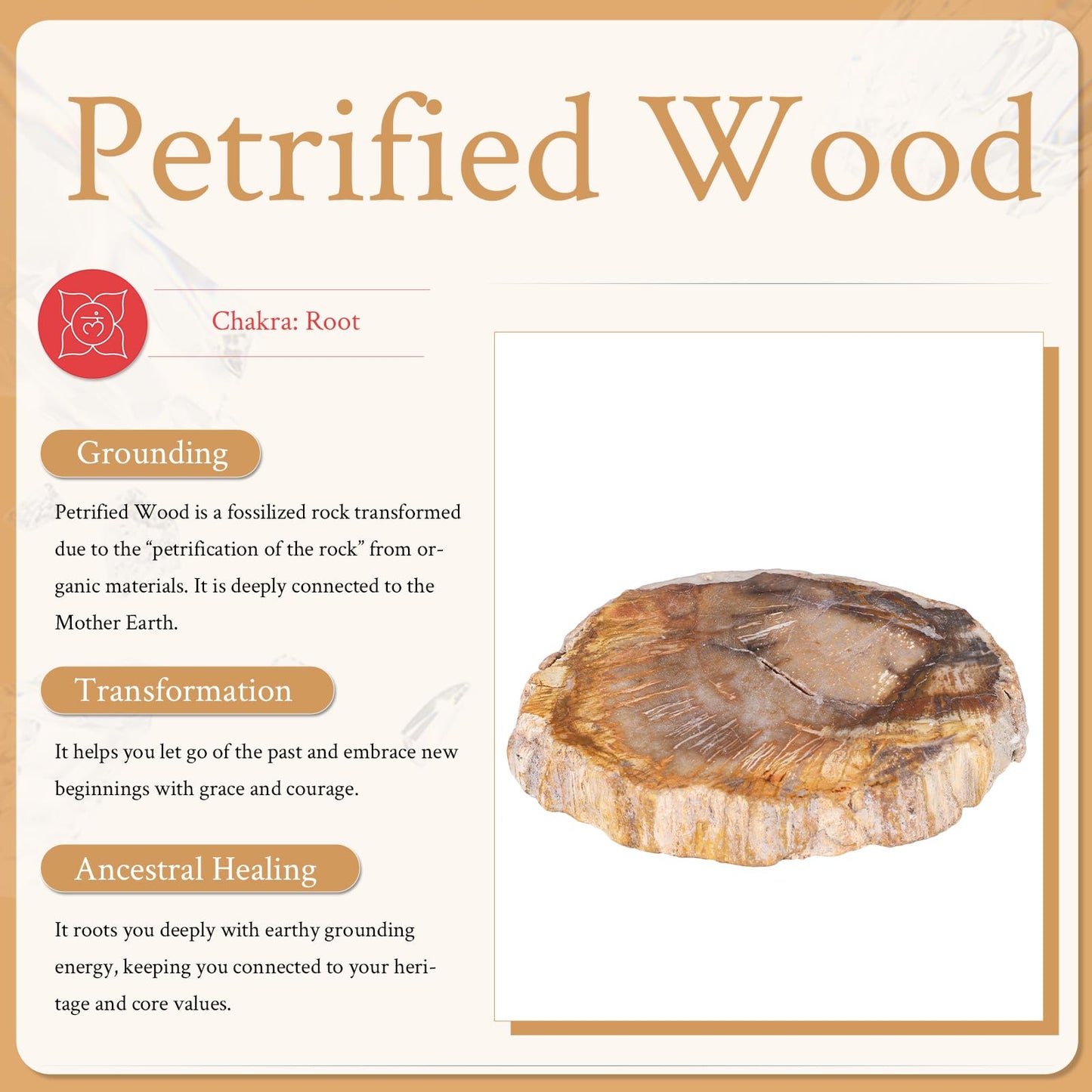 Sportmusies Natural Petrified Wood Slice Mineral Specimen Home Office Decoration, Irregular-Shaped Fossil Wood Stone Reiki Meditation, 1.96-5.51 inches