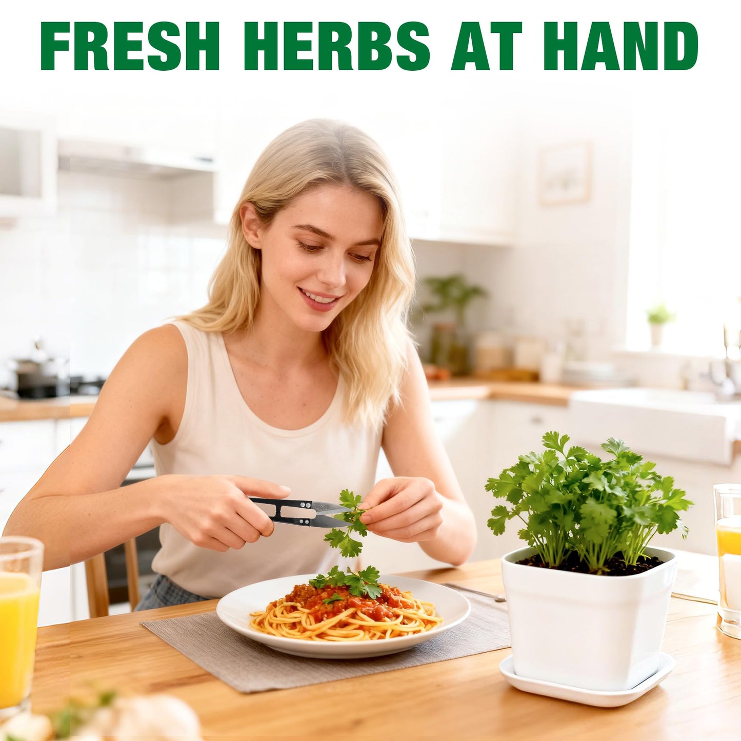 12 Herb Garden Kit Indoor - 42 Pcs Complete Kitchen Window Herbs Seeds Growing Starter Set Kit Gardening Gift Birthday Housewarming Christmas Gift for Women Her Mom Men Home Chefs Gardener Beginner