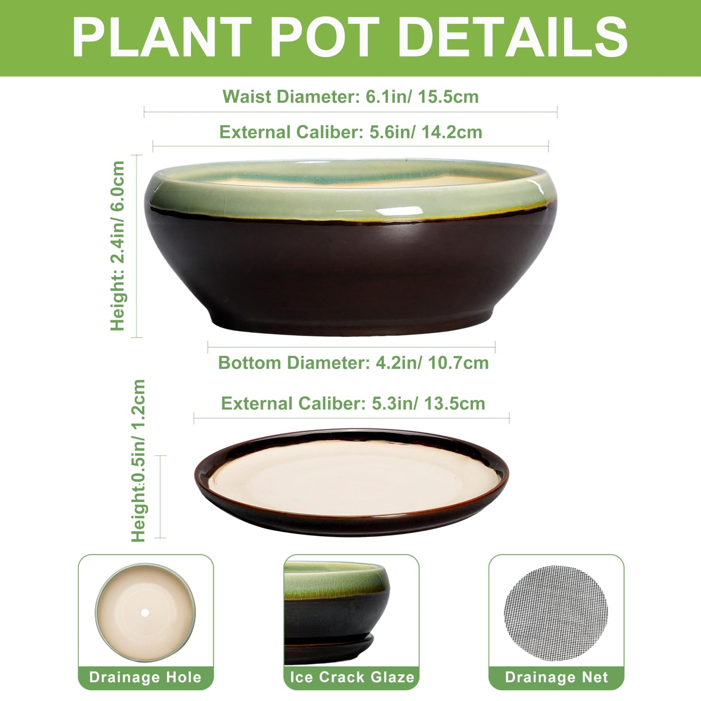 SQOWL Succulent Pots 6 Inch - Shallow Ceramic Planter, Bonsai Pot with Drainage Hole and Saucer, Round Ceramic Succulent Planter for Indoor Outdoor Plant, Kitchen Decor, Plant Lover Gift, Green-Brown