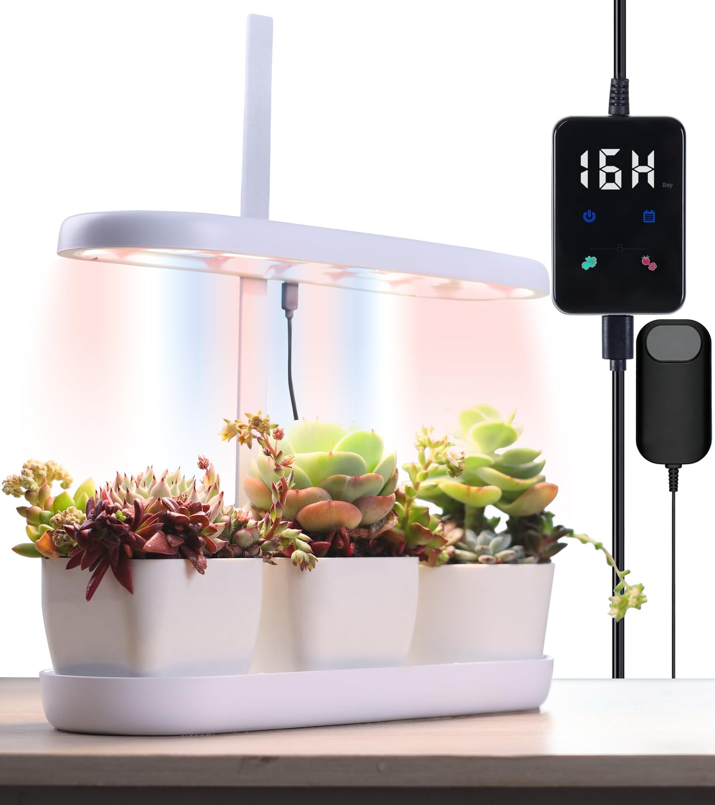 DRYADES Grow Lights for Indoor Plants, 20W Full Spectrum LED Grow Lamp for Indoor Garden with Intelligent Controller, Height Adjustable, Ideal for Home Desk Plant Lighting (White, ABS Base)