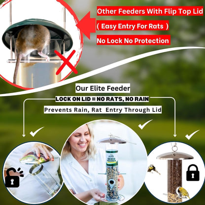 HEAVY DUTY stainless steel metal bird feeder, easy clean garden bird seed feeders hanging, bird feeders for small birds, bird feeders hanging for wild bird, hanging bird feeder for backyard BY PROVIDE