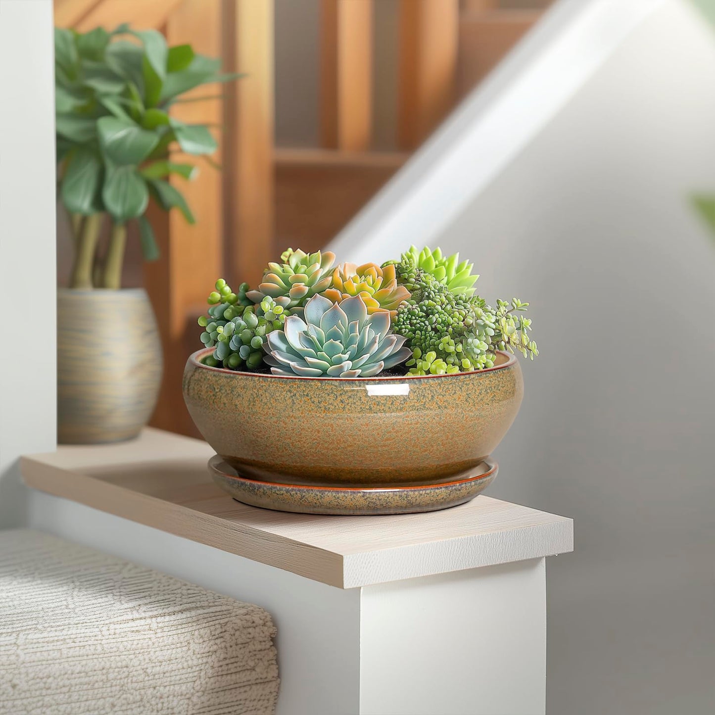 SQOWL Succulent Pots - 8 Inch Ceramic Bonsai Pots, Round Shallow Planter with Drainage Hole and Saucer, Succulent Indoor Planter, Bowl Planters Outdoor, Apartment Decor, Gifts for Women, Brown