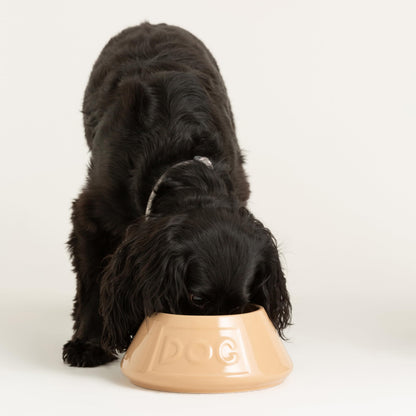 Mason Cash Cane Non Tip Lettered Stoneware Dog Bowl, 21 cm