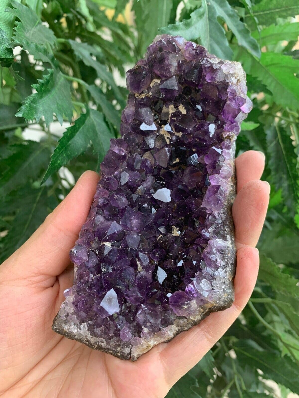GAF TREASURES Deep Purple Amethyst Cluster, Natural Amethyst Geode, Amethyst Druze, Raw Amethyst Crystal (0.5-1 lb)