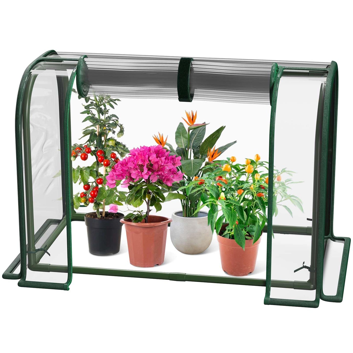 MQJIAZHI Mini Greenhouse Indoor Outdoor, 23.6*16.2*12.2 Inch Portable Tabletop Plant Greenhouse for Plant Growth and Seedling Propagation, Small Greenhouses for Garden Balcony Windowsill Home Use