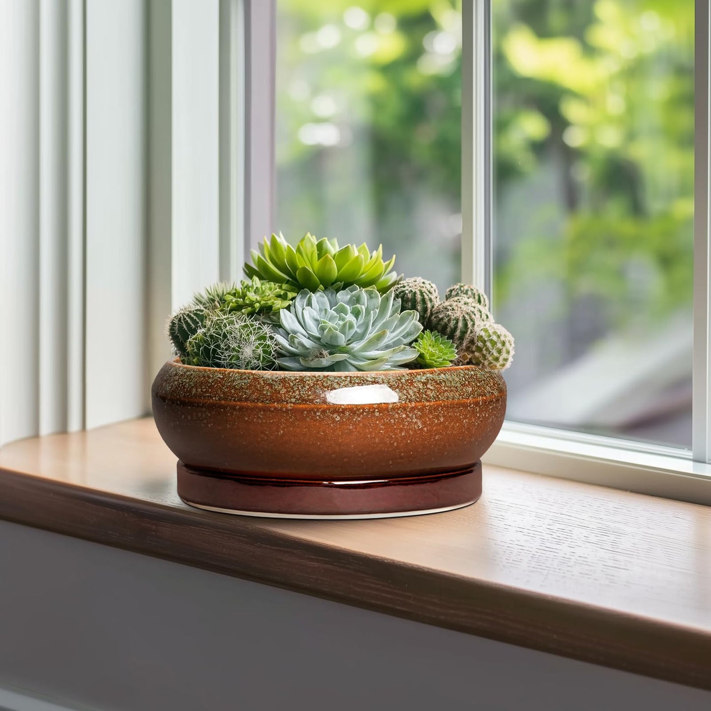 EPFamily Bonsai Pots - 10 Inch Ceramic Succulent Pots with Drainage Hole and Saucer, Bonsai Planter for Indoor Outdoor, Large Shallow Planter Bowl, Office Decor, Gifts for Plant Lovers, Retro Brown