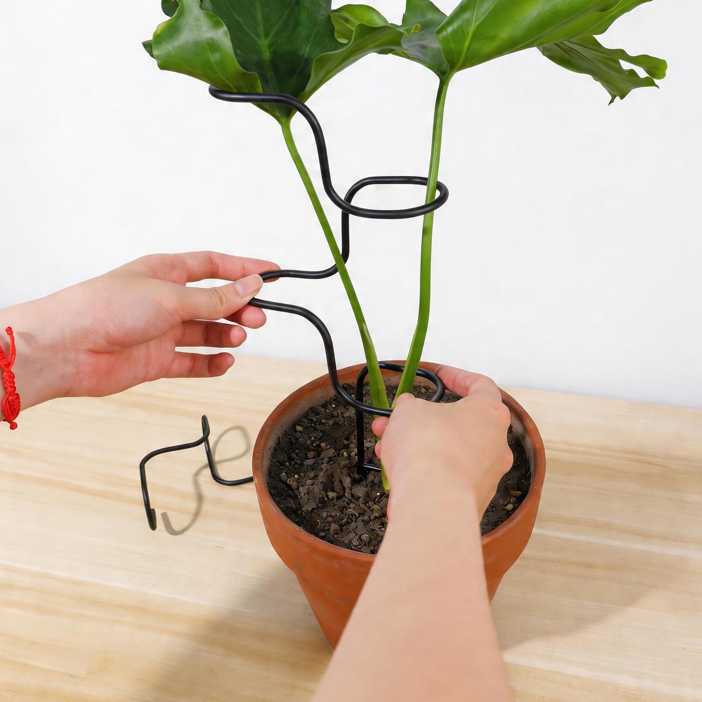GOOOXIM 3PCS Indoor Plant Support Stakes - Sturdy Metal Trellis for Garden Flowers & Monstera, Durable & Easy to Use, Perfect for Small to Medium Indoor Plants, Ideal Gift for Plant Lovers!