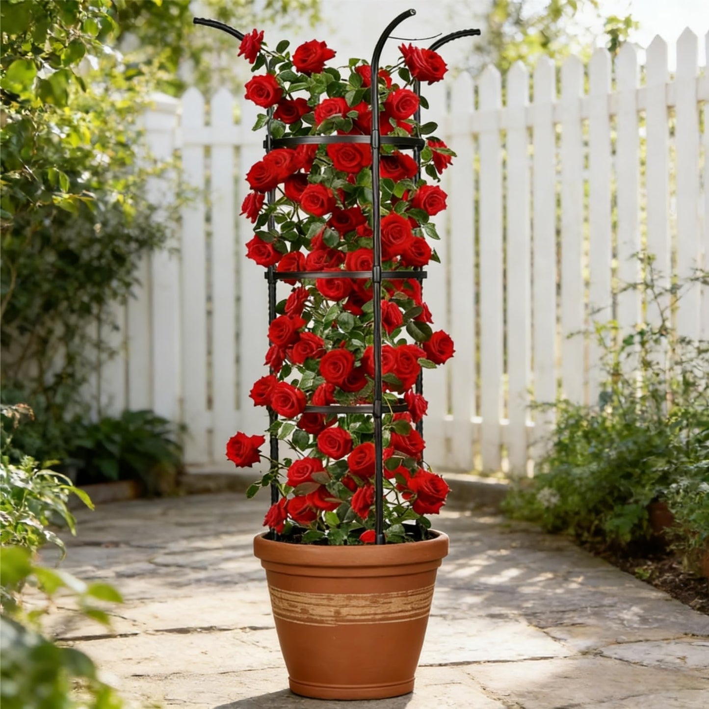 2 Pack Garden Obelisk Trellis for Climbing Plants Outdoor Indoor, 6 Ft Round Rustproof Metal Pot Plant Support Trellis for Rose Bush Clematis Vine Jasmine Flower Morning Glory Potted Plants Black