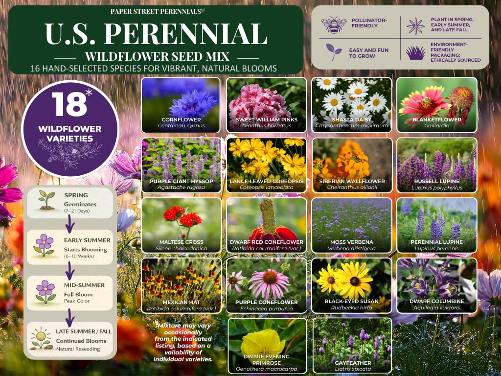 United States Nationwide Bulk Perennial Wildflower Seed Mix - All U.S. Zones - Plant in Spring and Fall (1 Pound Covers 2,000 Square feet) (1/4 Pound)