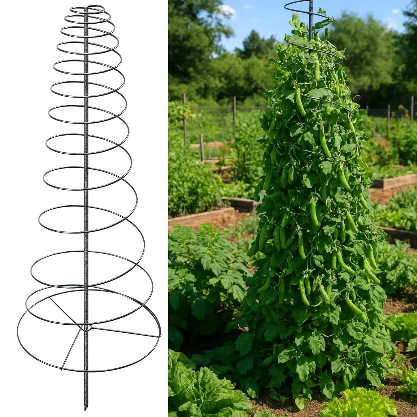 Spiral Frame Trellis for Climbing Plants Outdoor -72" Tall Heavy Duty Metal Garden Plant Tower Support with Anti-Tip Center Pole,for Pole Bean,Berry,Cucumber,Sweet Peas,Clematis,Potted Plants,Vines