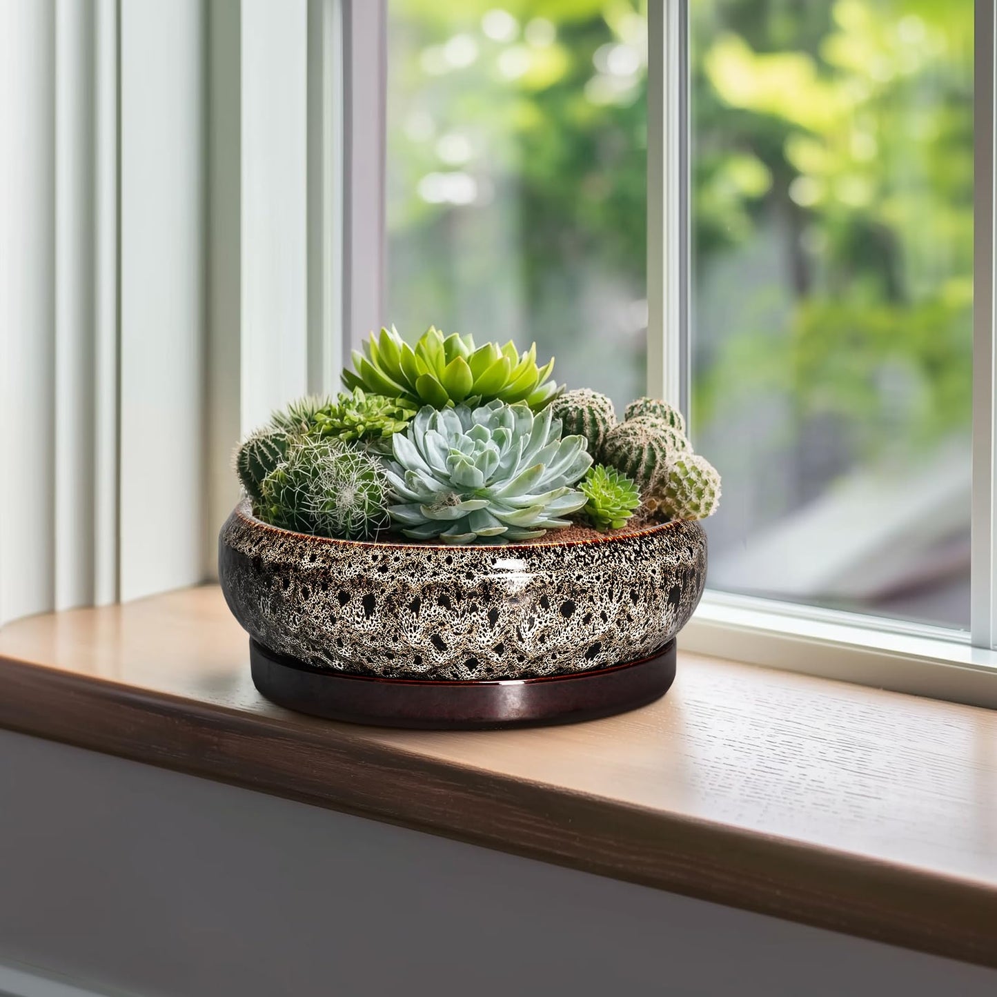EPFamily Succulent Pots 10 Inch - Ceramic Bonsai Pots with Drainage Hole and Tray, Large Succulent Planters, Shallow Planter Indoor, Round Planter Bowl, Window Decor, Gifts for Plant Lovers, White