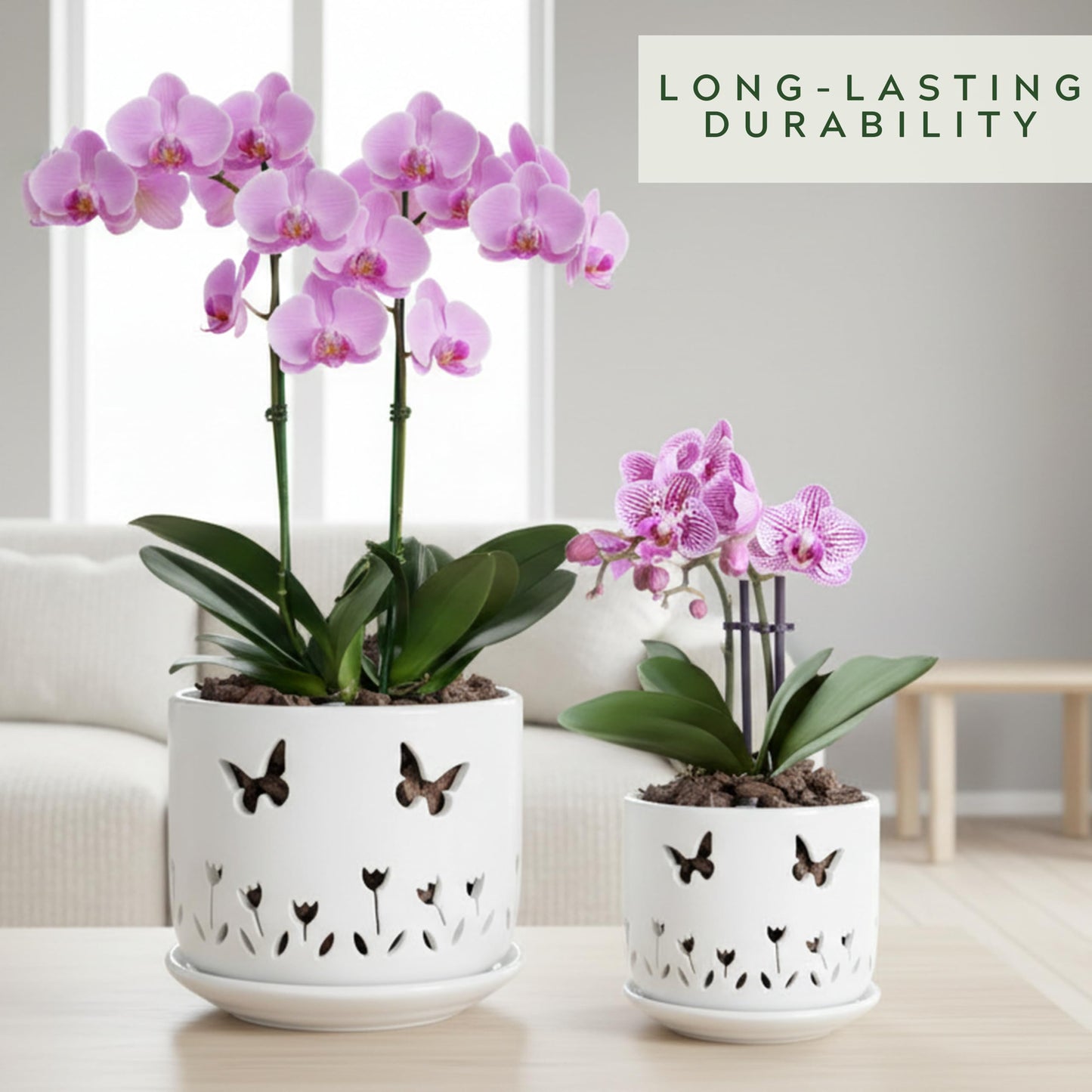 Thriving Thicket 2 Pack, 5 + 6 Inch White Orchid Pots with Butterflies and Tulips Holes and Saucer, Ceramic Orchid Planters for Repotting with Drainage Holes and Tray Indoor Outdoor, Butterfly Gift